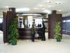 Arsena Hotel 